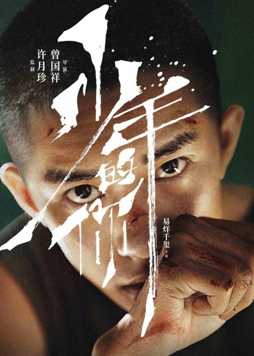 教资认定中的学历证书编号怎么填